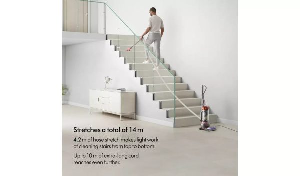 Dyson Ball Animal Corded Bagless Upright Vacuum Cleaner