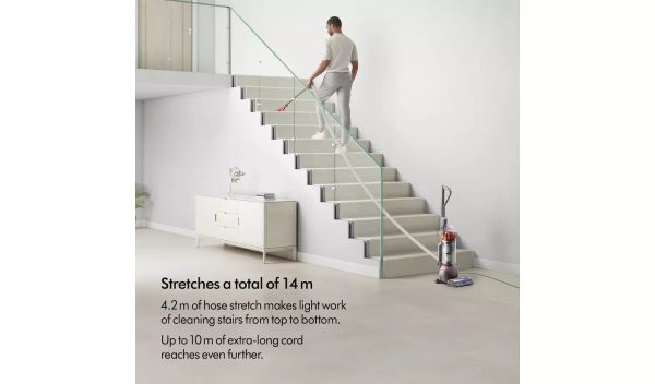 Dyson Ball Animal Origin Upright Corded Vacuum Cleaner
